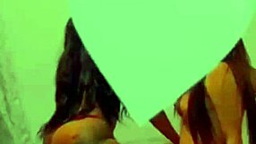 Thot Queens from Bronx NYC Dominate Part 2