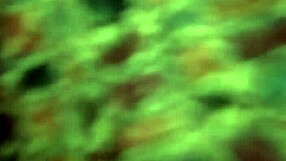 Icey candi bends over in doggystyle position, her petite ebony body taking a big black cock