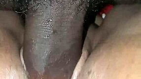 Black Guy Pounds Hot Mulata