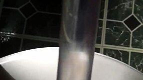 cartoon characters banging hard in wild animated scenes