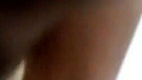 Casi Me Meten Hasta Los Huevos