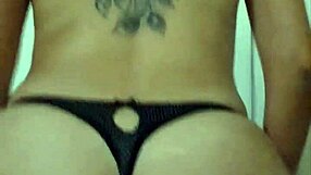 resumen de cabalgadas de anniejarochita