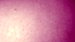 My Lovely Indian Wife Sweety Craves Wild Pussy Action Every Night