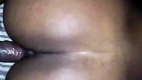 Ebony Couple's Wet Pussy Backshots Contrast