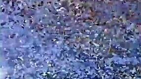 Latina amateurs perform sexy show with big ass effects