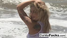 Compilación de masturbación en solitario de Dahlia Sky caliente con tetas de rubia
