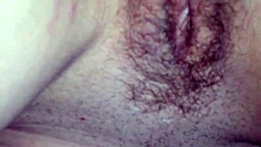 Watch mature amateur sucking cock?