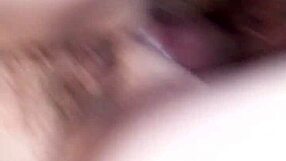 Watch mature amateur sucking cock?