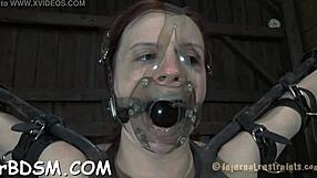 Coarse And Wild Toy Plowing