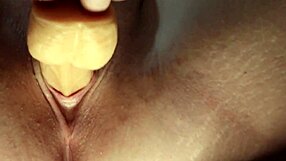 Verification Video Process