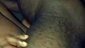 Niplexnija gets it just right