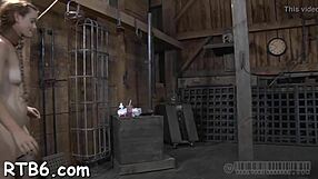 Sadomasochism Songs Collection