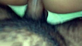 Niplexnija gets it just right