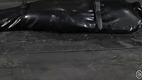 i whip that sexy ass so beautifully