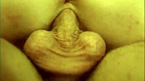 Hot Brunette Feels Intense Pleasure Riding Monster Cocks