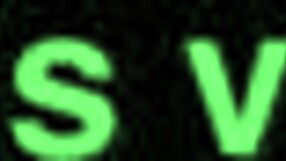 The Moaning Voice in This Homemade Hardcore Amateur Video