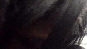 Unexpected Blowjob Adventure in O-Town Caught on Camera Tonight