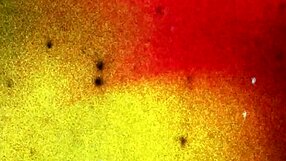 Black trans girl with tattoo and piercing enjoys solo climax