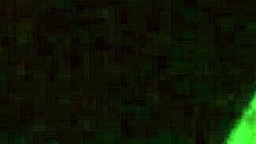 She's fucking quietly because her dad is calling – so hot!