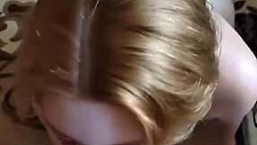 Yasyapasha20 update 1 feb 29 2024