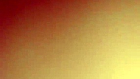 Amateur Home Movie With Hot Wife