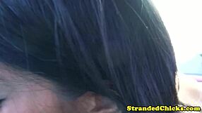 Hitch Hiking Babe Pov Pleasuring Driver