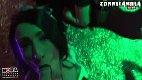 salao eros porto 2017 party highlights