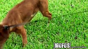 I watch Kaylee Quinn's big tits get pounded in POV.