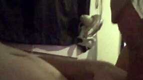 Honeysuckle Sucks Amateur Cock In Homemade Blowjob