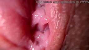 Närbild fitta sprider sig med smutsigt skitprat