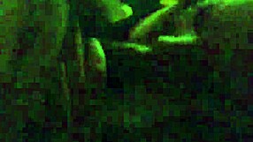 my friends share latina milf stories