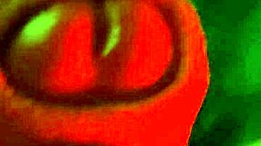 Ifoslave Boldly Masturbates and Cums Intensely in Solo Session