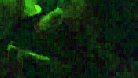 my friends share latina milf stories