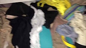 cdzinha lima returns to the house of coroa iza colleague of work