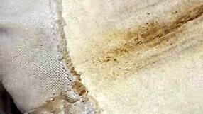 The dirty panties left by the emo neighbor