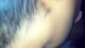 lynn nasty sucks fresh cock