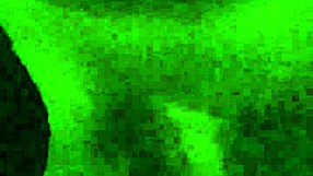 Shemale In Lingerie Strokes Horse Cock