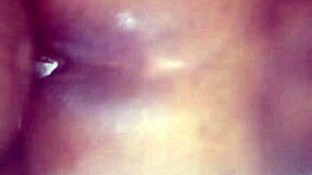 Fucking Busty Stella's Huge Boobs!