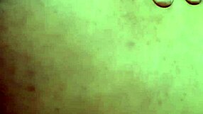 Double pleasure with shemale fun