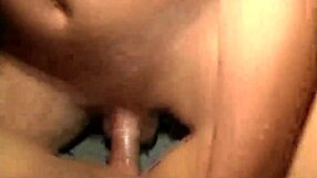 Dominikai szűz puncit alig érintenek a 2. részben, karibi melege utal nyers akcióra