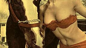 Victorian gentleman's secret erotic life revealed