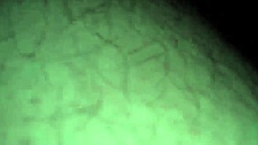 donna belle in homemade amateur setting, bent over casually.