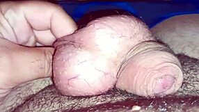 Homemade Amateur Video Showcases Monster Big Cock in Intense Fucking