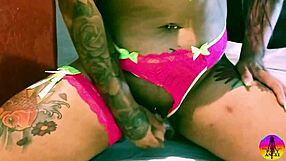 Solo Latina Model Debuts with Anal Finger Play and New Sex Toy