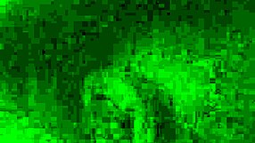 are you watching me sucking on this huge bbc?