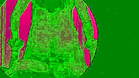 hidden camera catches wife and bull in gloryhole cabin