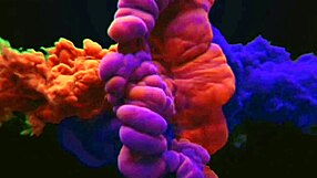 nao teve jeito meu amigo me comeu jhonny gab