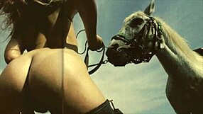 beauty and the beast