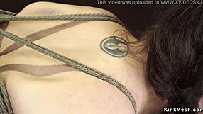 गोरी ब्रुनेट को हॉगटाई में बांधकर तीखी सजा दी