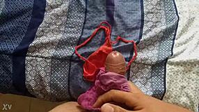 Sperm covered maid's panties